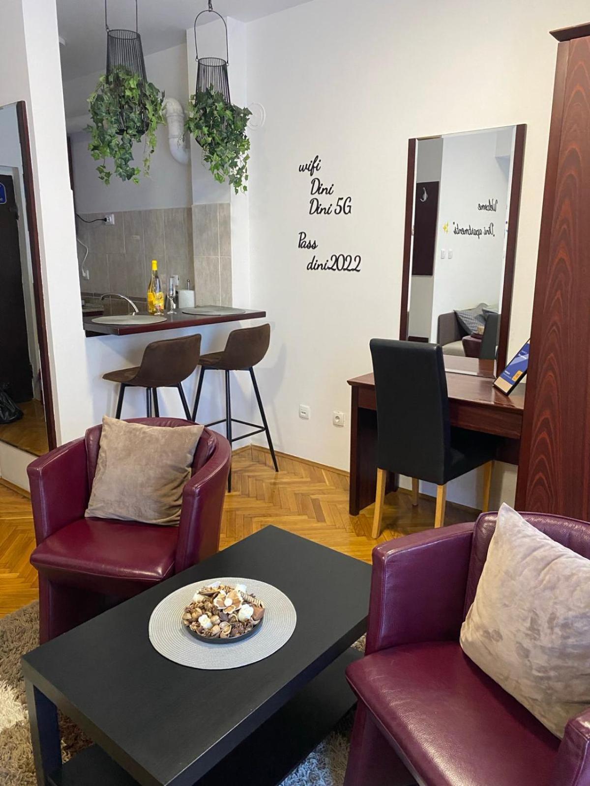 Dini apartments Novi Sad Bagian luar foto