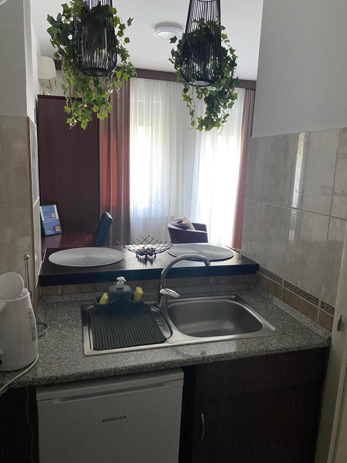 Dini apartments Novi Sad Bagian luar foto