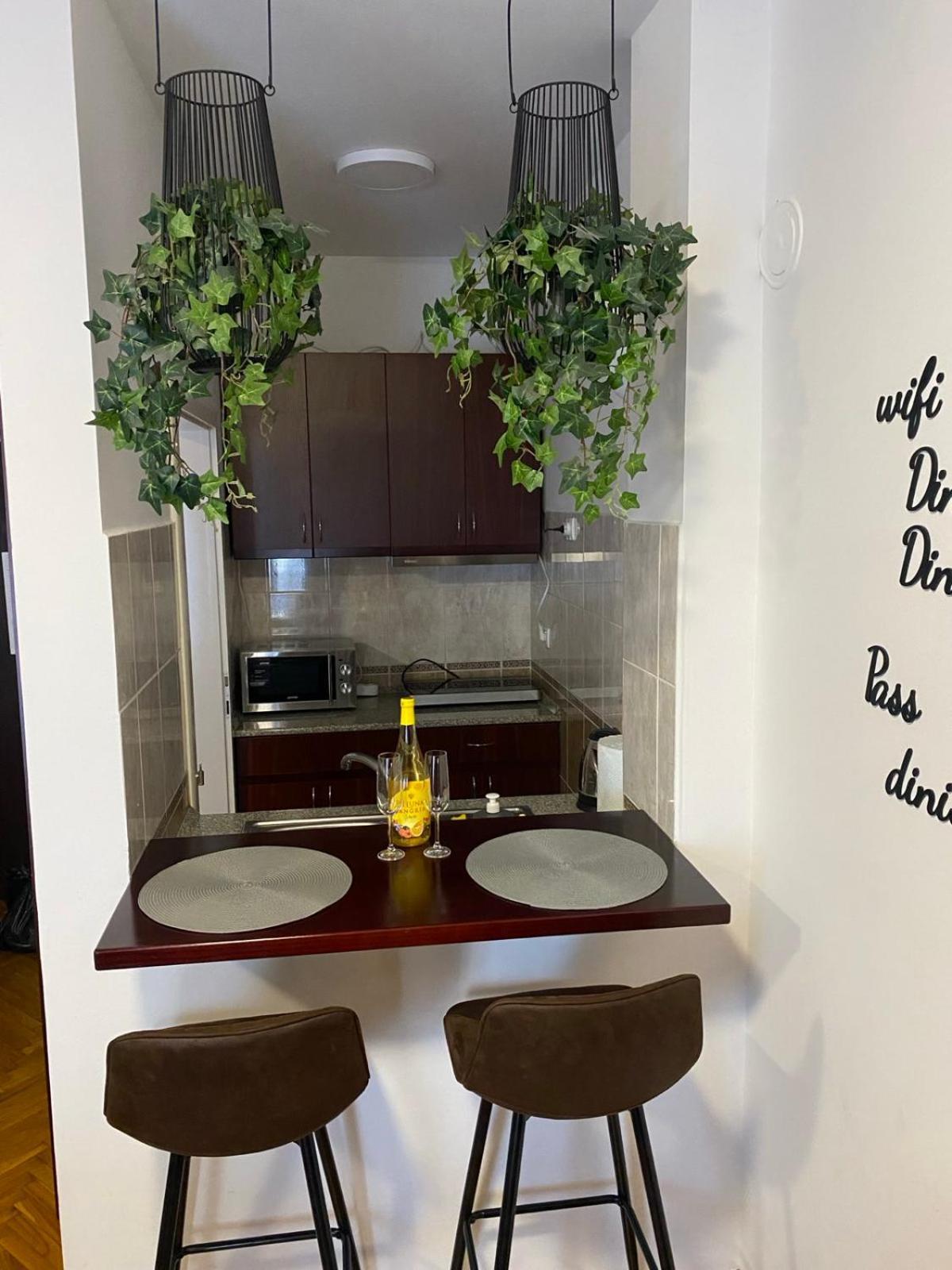 Dini apartments Novi Sad Bagian luar foto