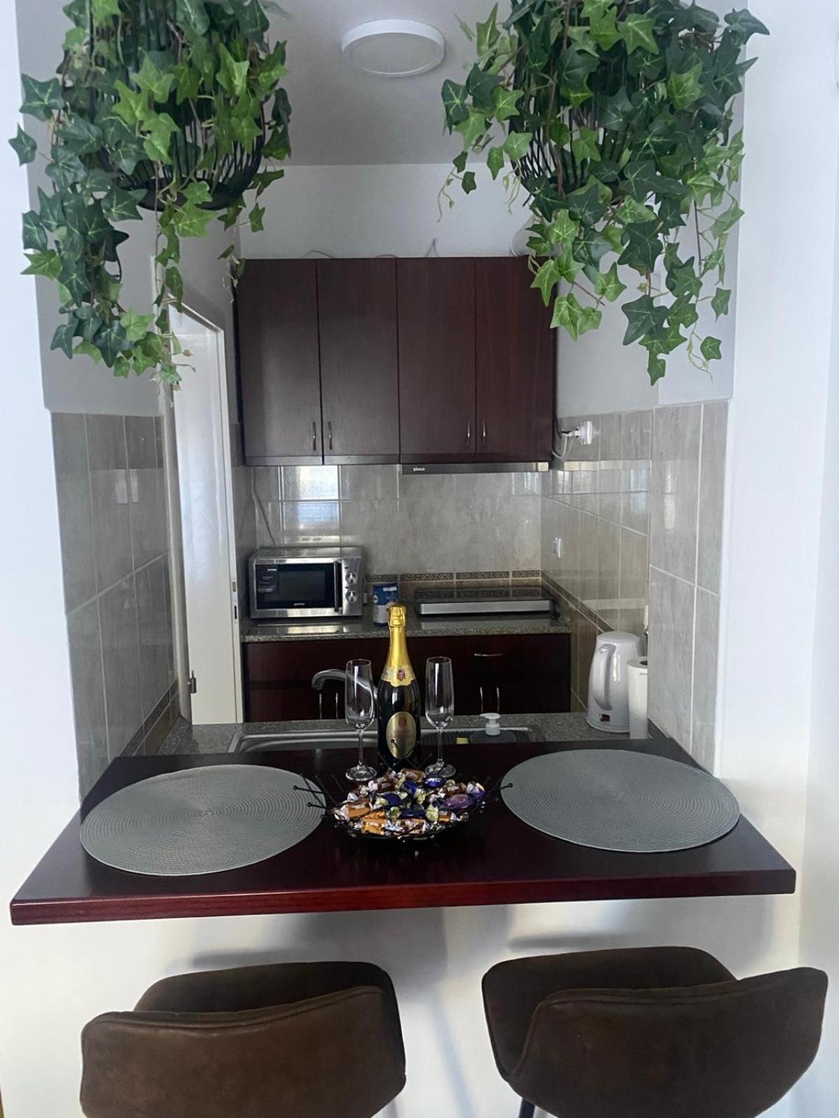Dini apartments Novi Sad Bagian luar foto